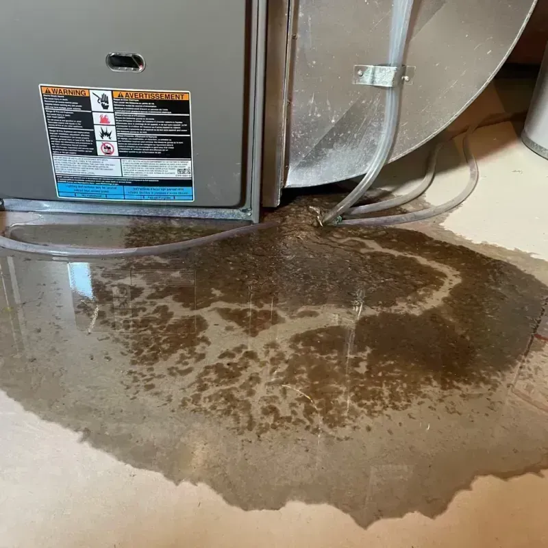 Appliance Leak Cleanup in Acres Green, CO